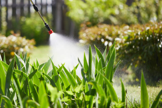 24/7 Emergency Mosquito Control experts in Hoopeston, IL